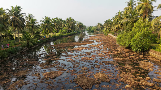 Nandini River pollution